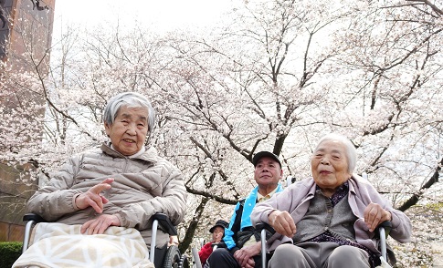 お花見