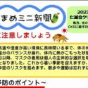 そらまめミニ新聞