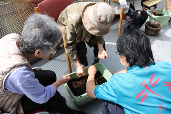 入所科4階 家庭菜園1