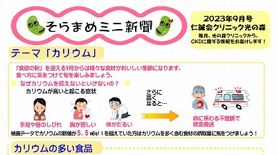 そらまめミニ新聞