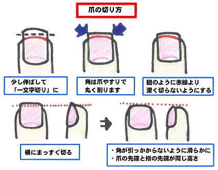 爪を切る