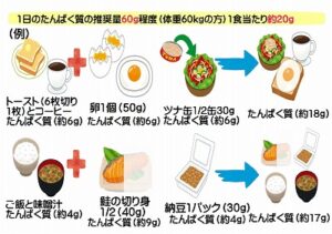 透析治療とサルコペニア④