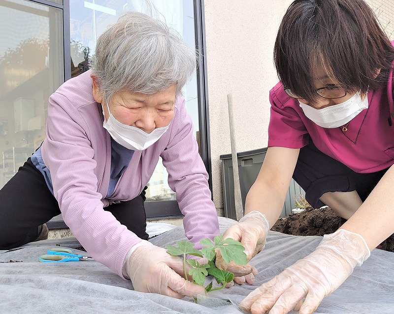 赤とんぼ畑の夏野菜