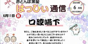 赤とんぼ黒髪