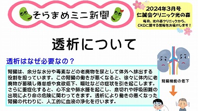 そらまめミニ新聞