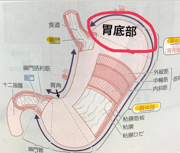 臨床栄養