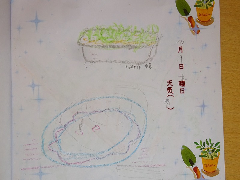 赤長ほうれん草