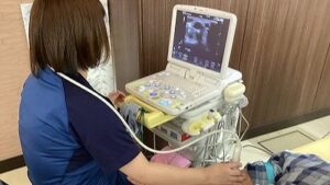 VAエコー検査