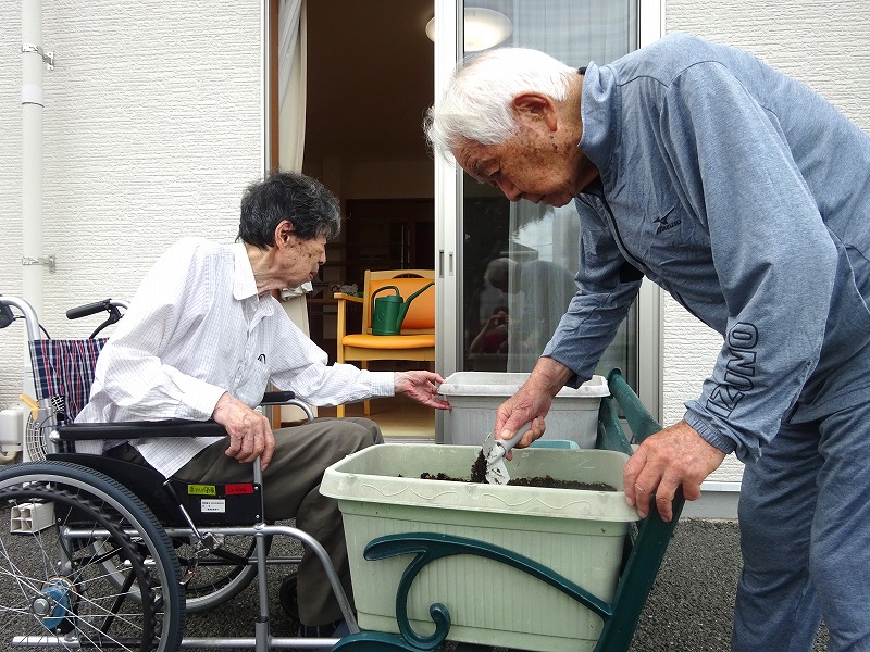 赤長ほうれん草