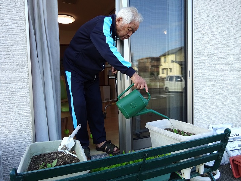 赤長ほうれん草