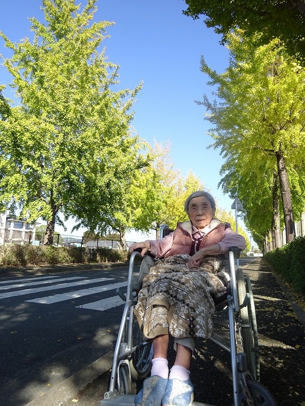 赤とんぼ長嶺秋企画