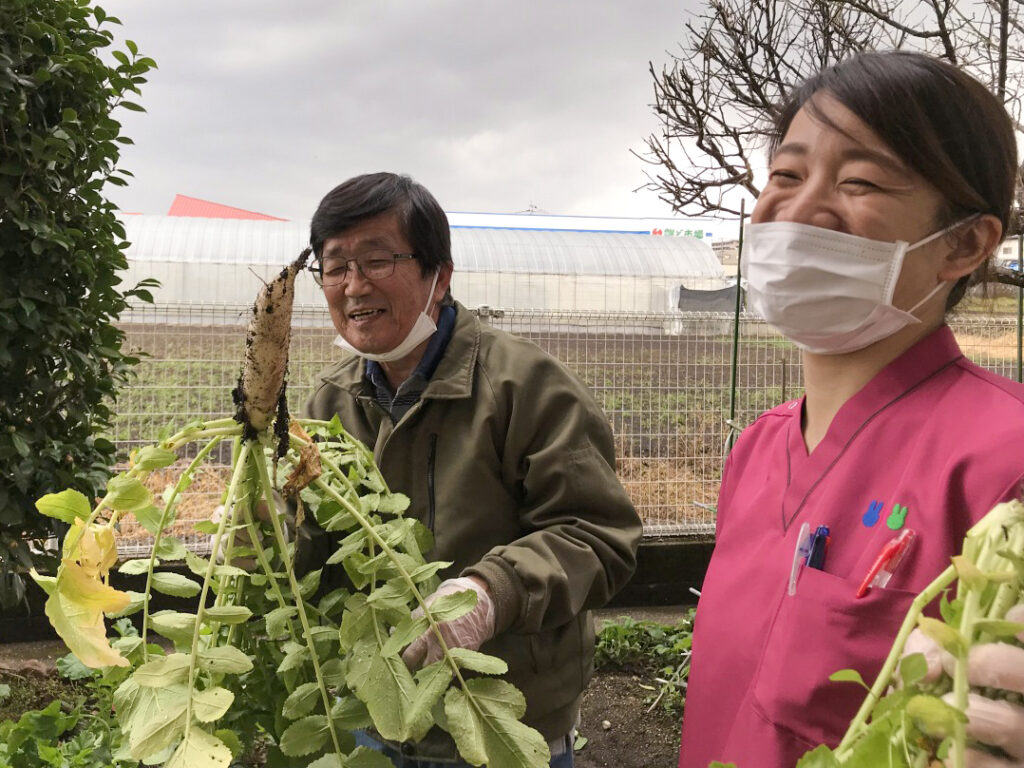 冬野菜を育てて味わう2