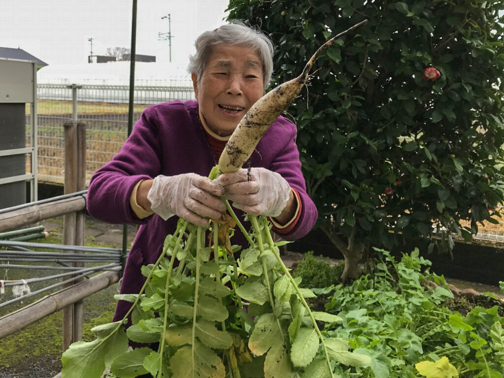 冬野菜を育てて味わう1