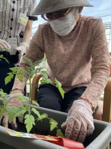 夏野菜菜園