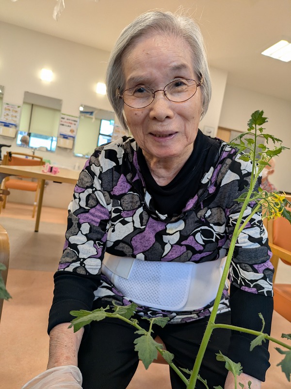 夏野菜菜園