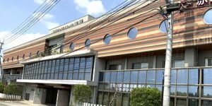 赤とんぼ黒髪