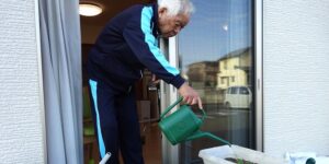 赤長ほうれん草