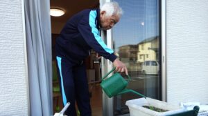 赤長ほうれん草