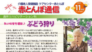 赤とんぼ通信11月号-アイキャッチ