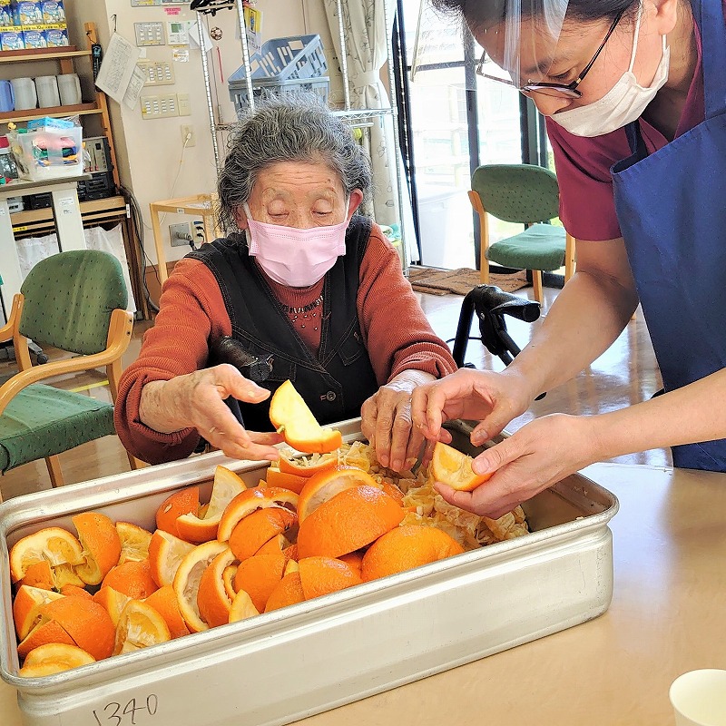 赤とんぼ畑の夏野菜