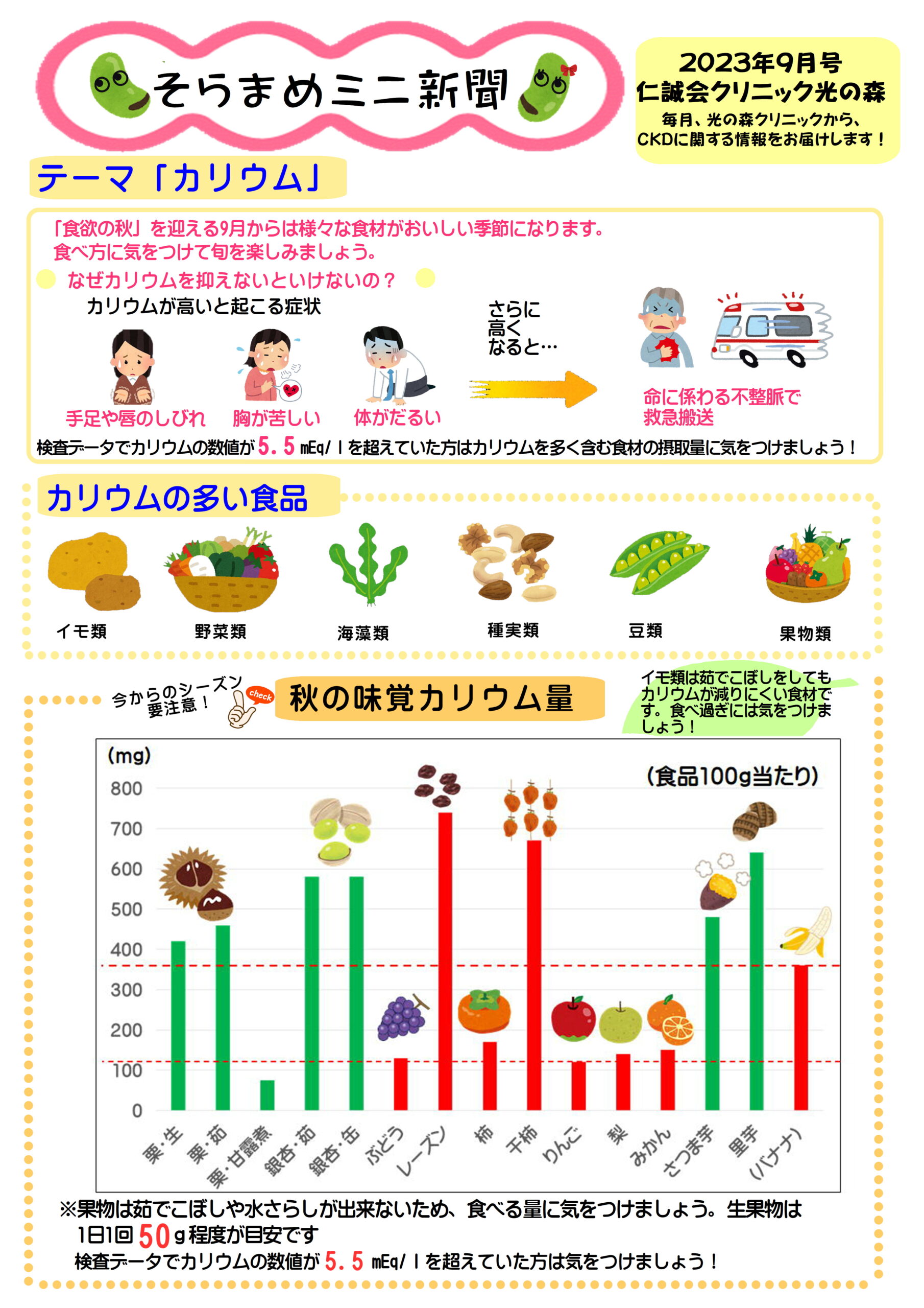 そらまめミニ新聞