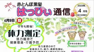 赤とんぼ黒髪