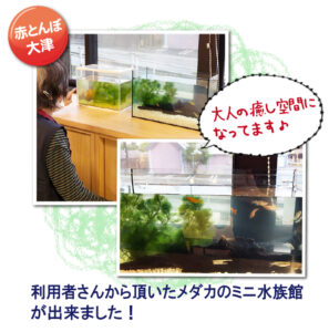 3-赤とんぼ大津