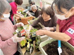 家庭菜園-3