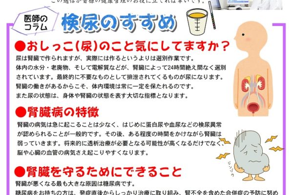 しんやしきＤＭ通信第7号