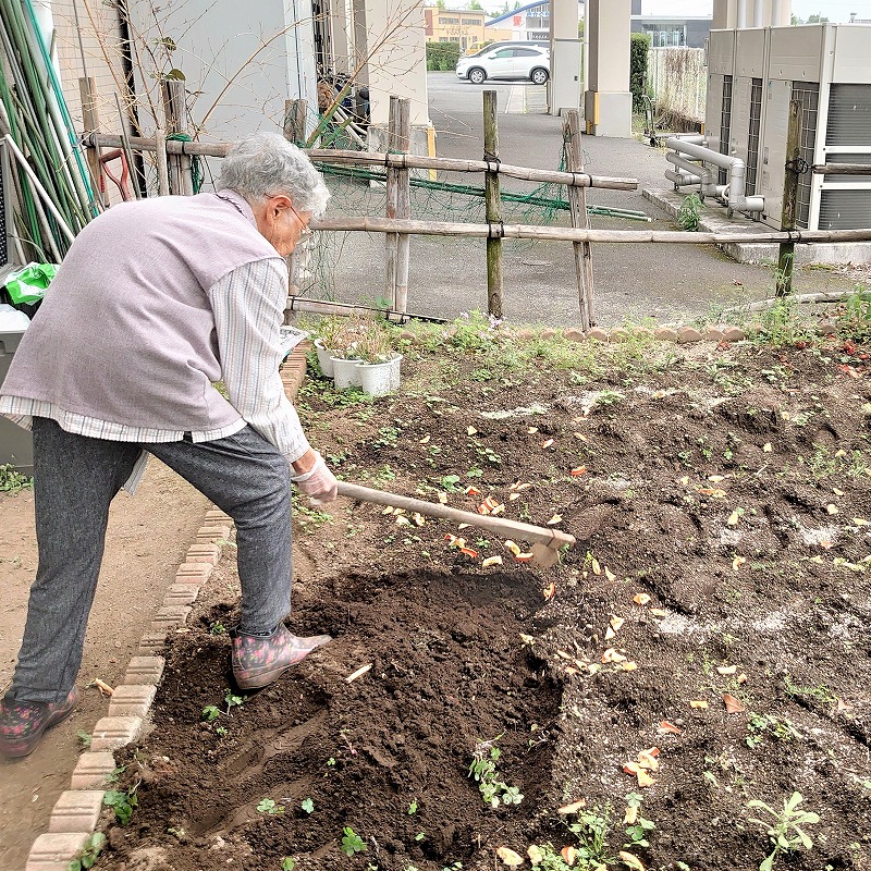 赤とんぼ畑の夏野菜