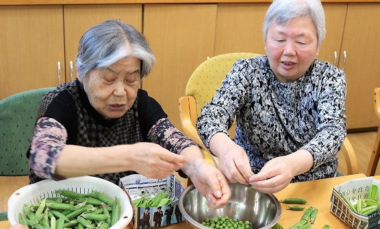 豆ご飯 仕込み