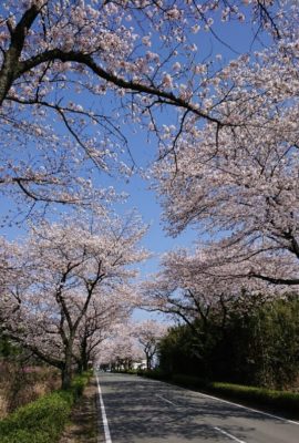 赤とんぼ訪問看護ステーション